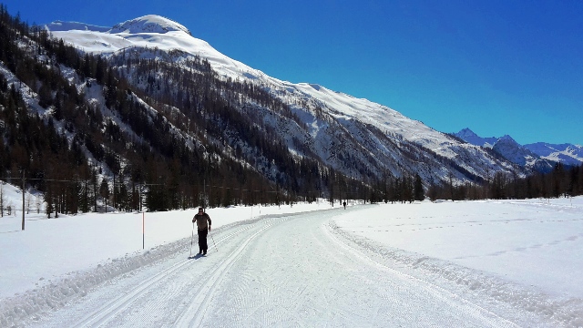 Fresh snow on the cross country tracks in Courmayeur