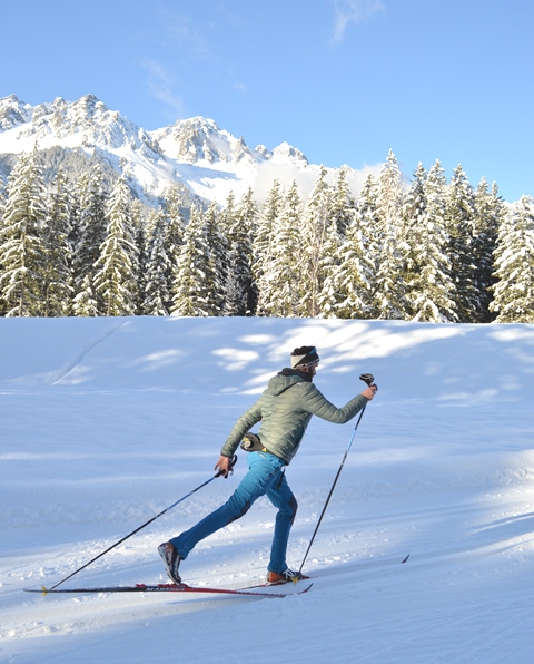 Perfect diagonal srtide on Chamonix X-C ski slopes