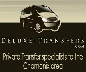 Deluxe transfers logo