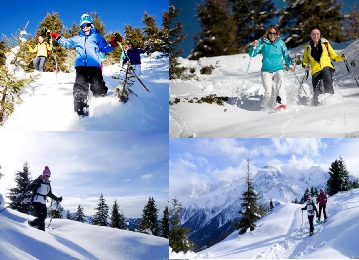 chamonix-cross-country-skiing-composition-raquettte