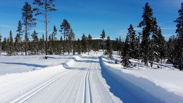 600 kilometers of groomed ski tracks